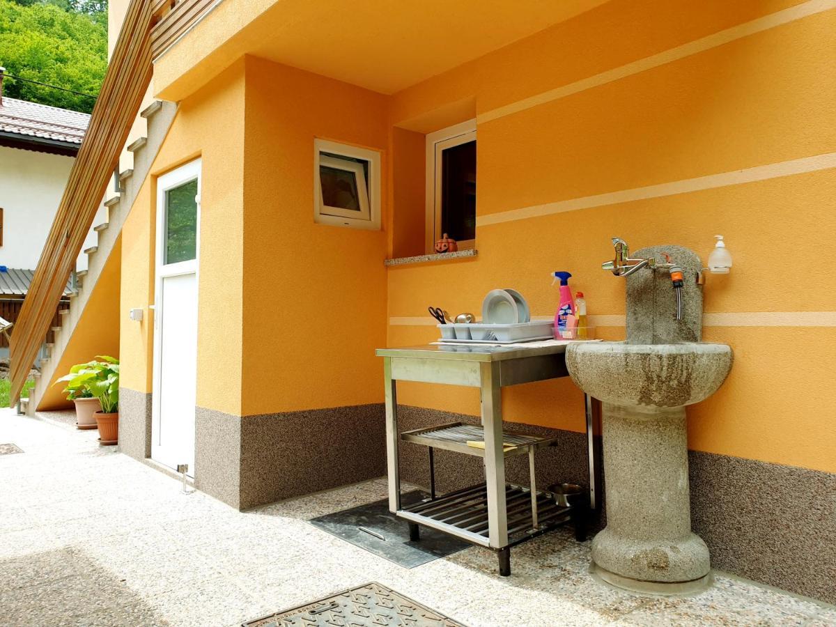 Apartment And Garden House Among The Mountains Podbrdo Esterno foto