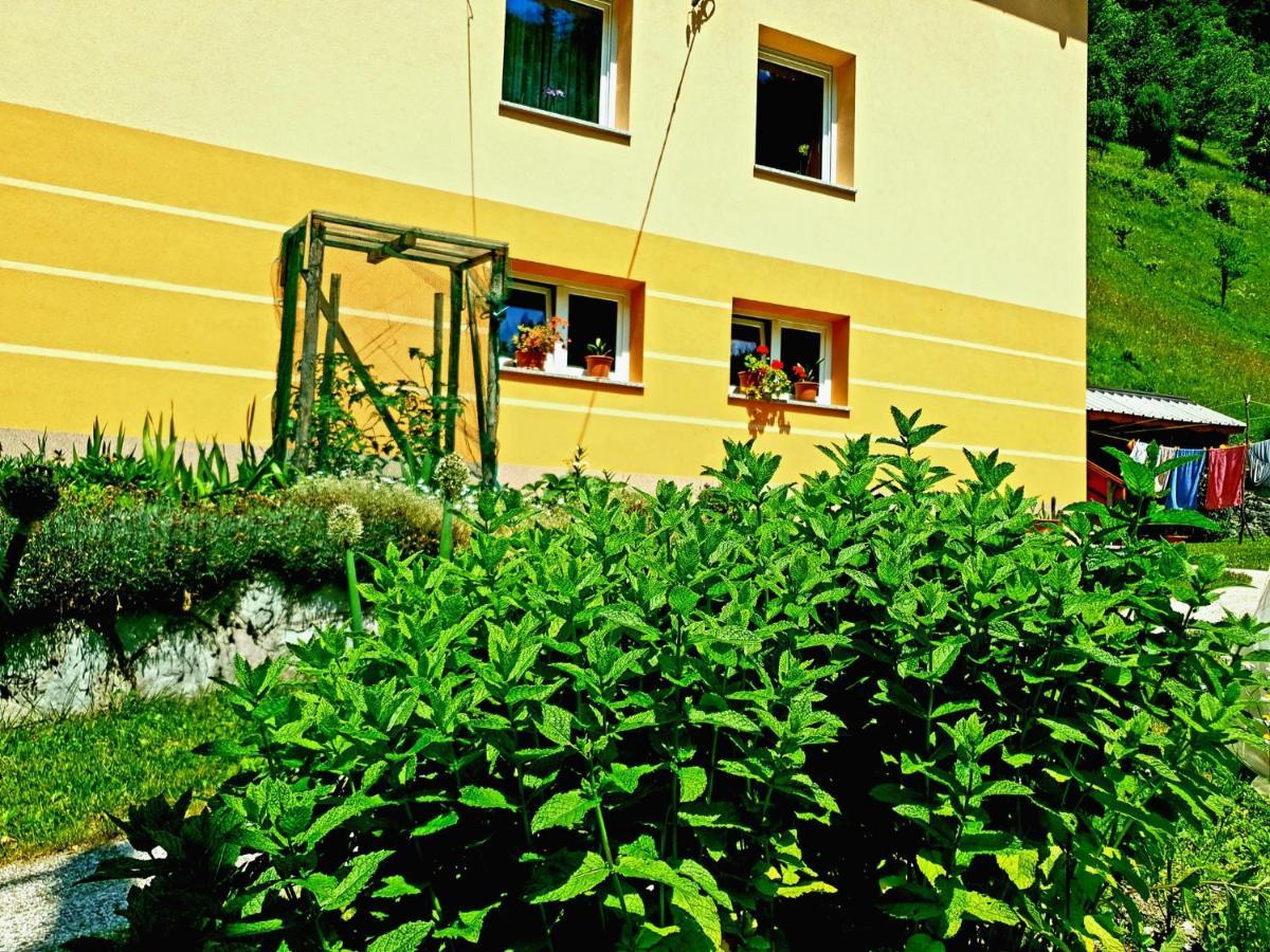 Apartment And Garden House Among The Mountains Podbrdo Esterno foto
